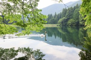 山梨県南アルプス市・夏の『南伊奈ヶ湖』は緑色の世界！