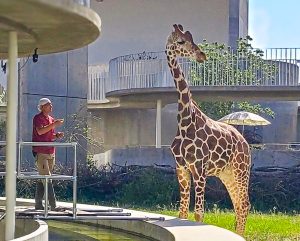 ふれあい・学び・癒される「霞ヶ浦どうぶつとみんなのいえ」