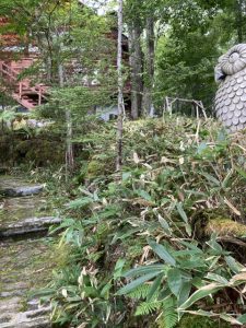 素晴らしい眺望とロフト付きログハウスペンション！ふくろうが幸運を呼ぶ天空の避暑地