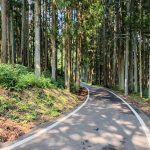 別荘地へのアクセス道