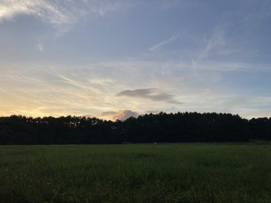 清里の夏
