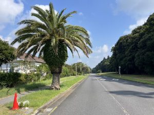 【千葉県 御宿町】海・自然・安心 御宿西武グリーンタウンの魅力をご紹介