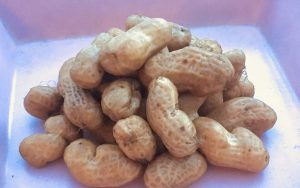 【南房総で田舎暮らし】秋がまちどおしいこの時期の、ごほうび食材