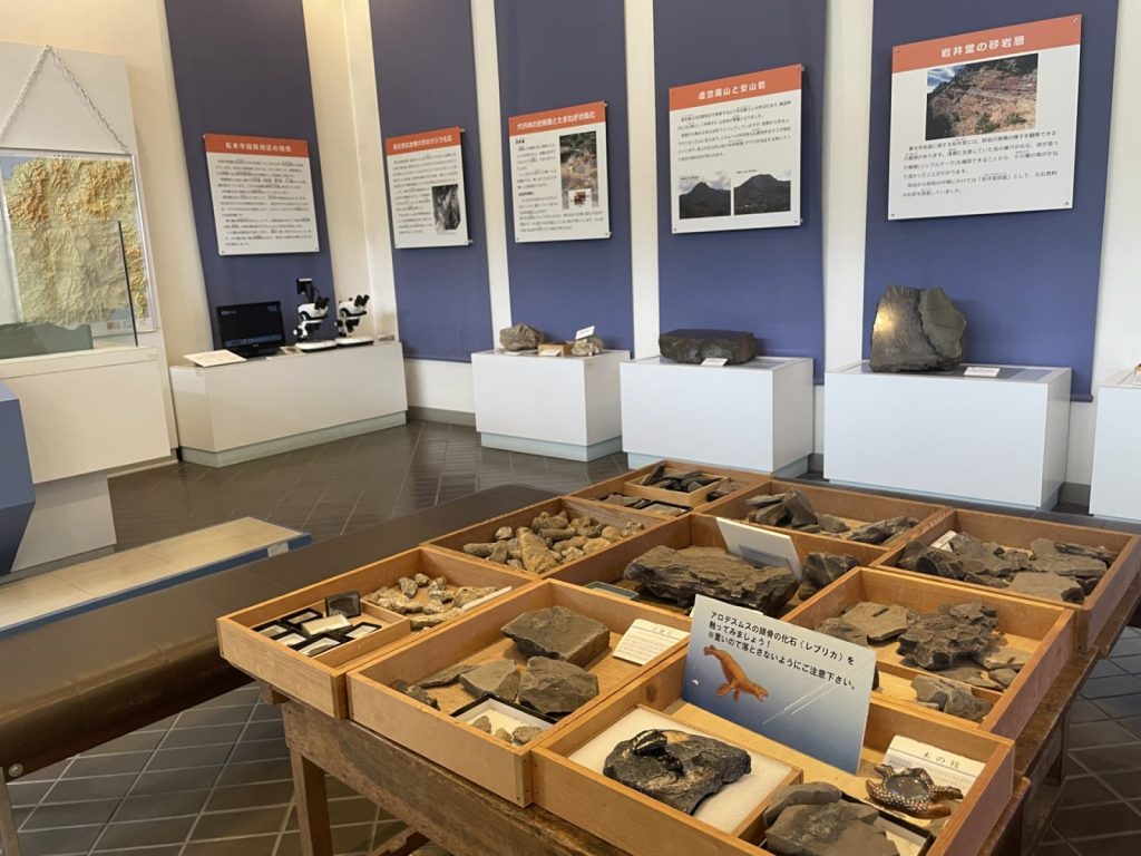 長野県松本市四賀化石館