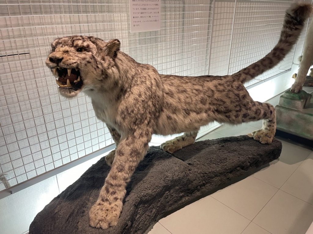 長野県四賀化石館