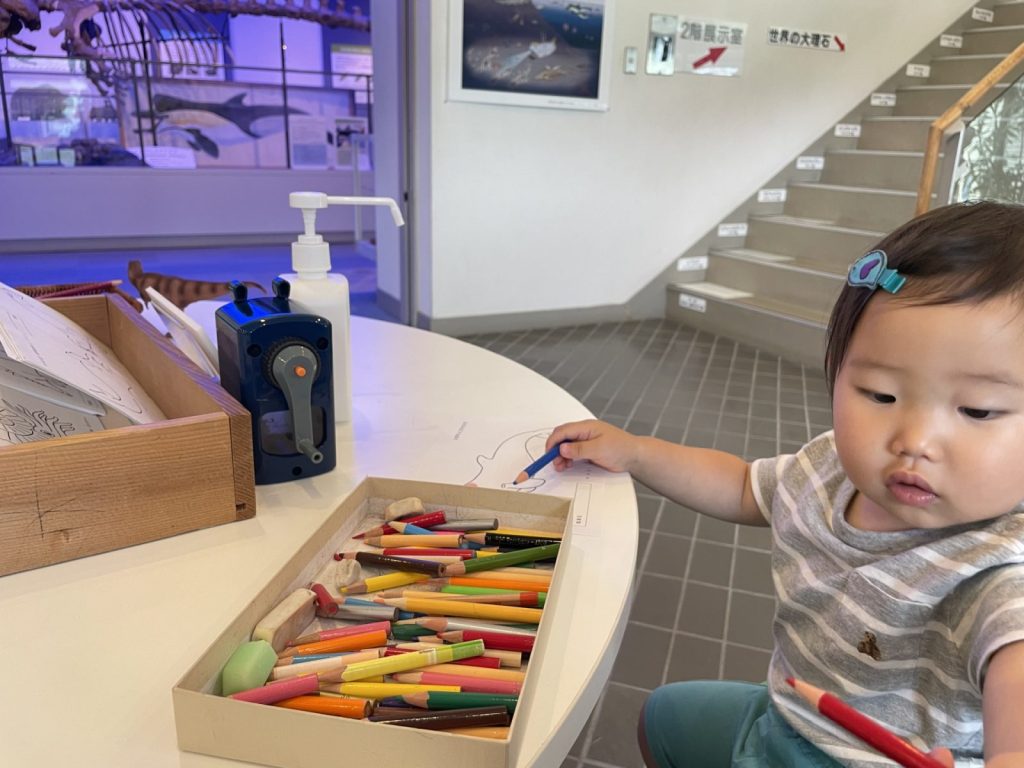 長野県松本市四賀化石館