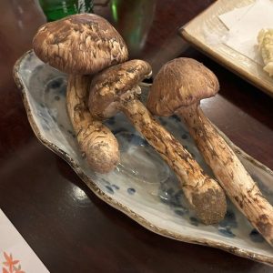 信州はきのこ天国！上田市で楽しむ松茸小屋と「松茸&ワイン」フェス