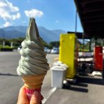 朝霧高原もちや,よもぎソフト