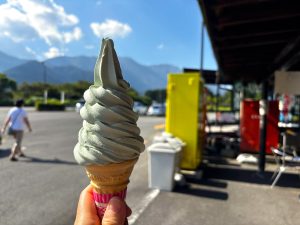 【富士五湖周辺】別荘地から1時間！昼から出かける田貫湖ドライブ