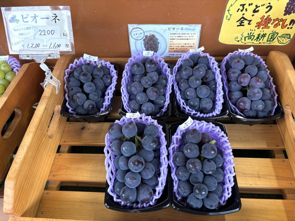 富士山,果物,直売所,安い