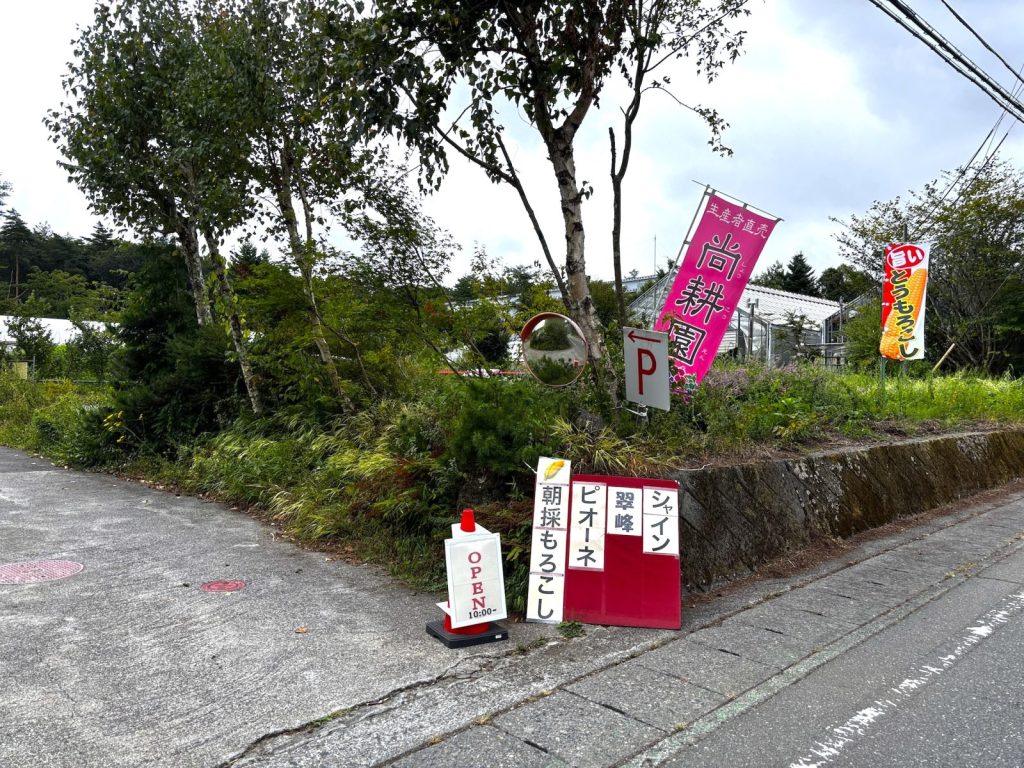 富士山,果物,直売所,安い