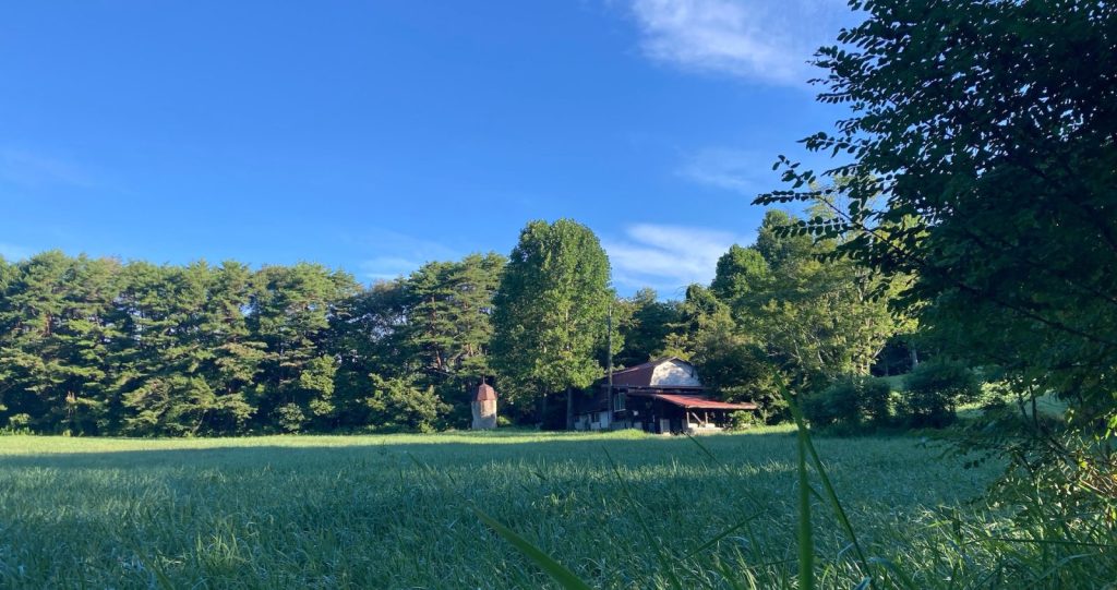 清里の草原