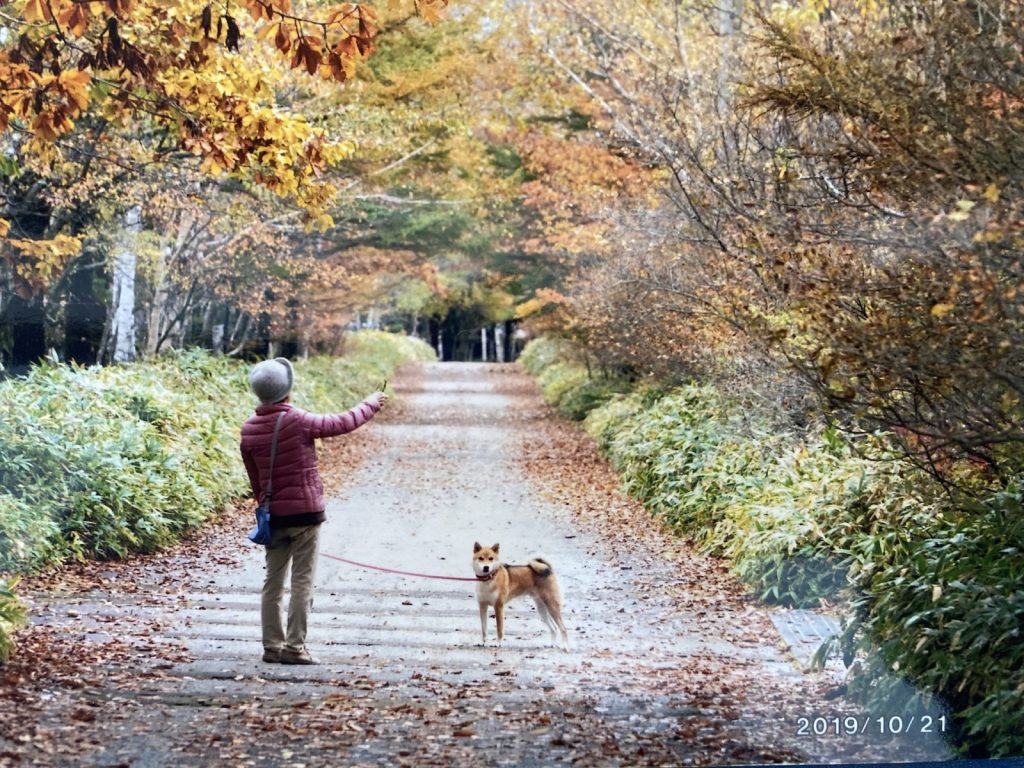 オーナー提供の八ヶ岳自然郷ライフの写真