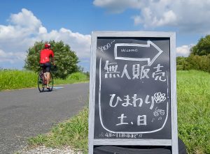 心ぬくもる売店「無人販売ひまわり」霞ヶ浦りんりんロード