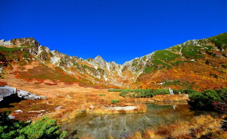 長野県駒ケ根市　駒ヶ根高原　千畳敷カール　紅葉