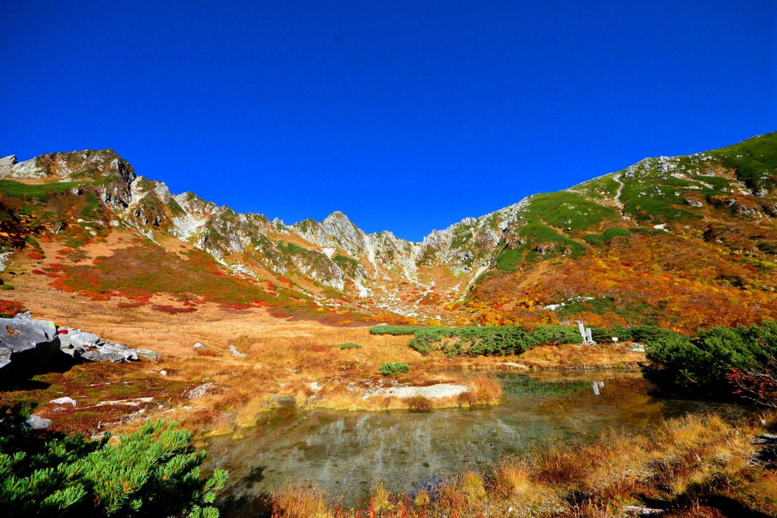 長野県駒ケ根市 駒ヶ根高原 千畳敷カール 紅葉