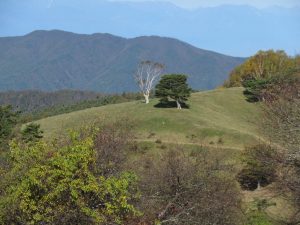 散策してみました、晩秋の入笠山周辺・富士見町