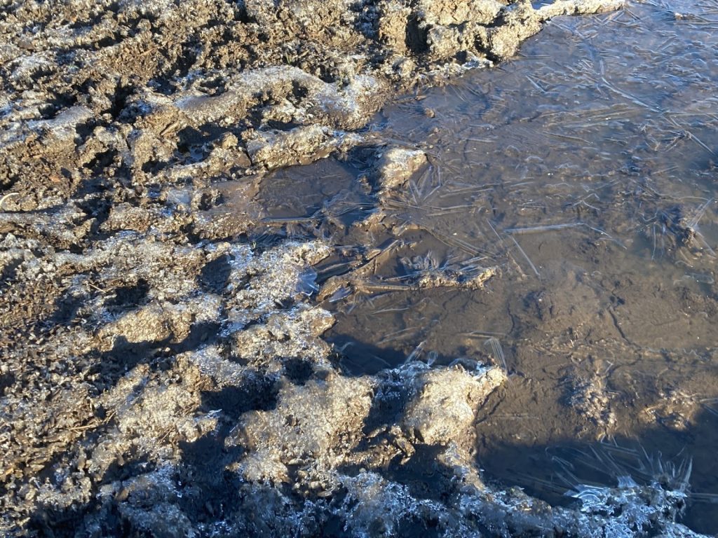10月23日氷点下の朝となった清里
