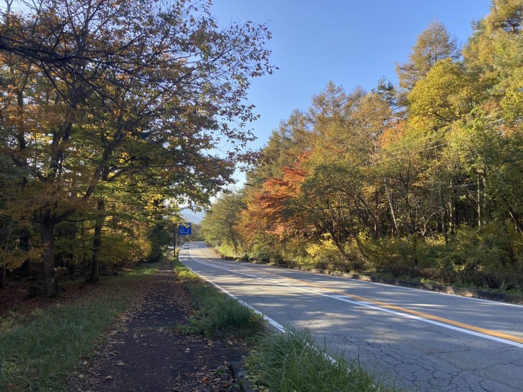 紅葉の彩りも本格的に