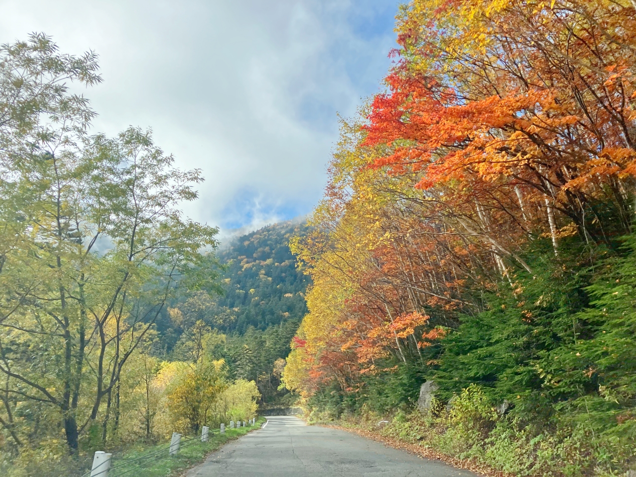 乗鞍岳の紅葉