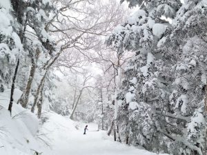 スキー・スノボー再デビューのススメ。滑るなら信州のスキー場がイチオシの理由とは？