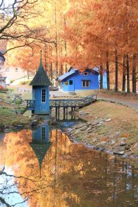 ◆埼玉県飯能市◆埼玉のムーミン谷『トーベ・ヤンソンあけぼの子どもの森公園』の秋深まる