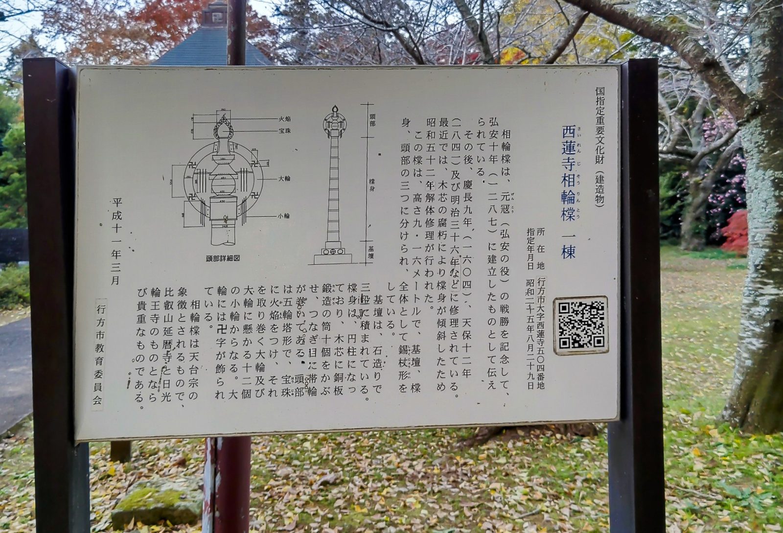 映えスポット,穴場,紅葉,黄葉,関東,関東最古の大イチョウ,西連寺,観光,お出掛け,散策,御朱印,おすすめ