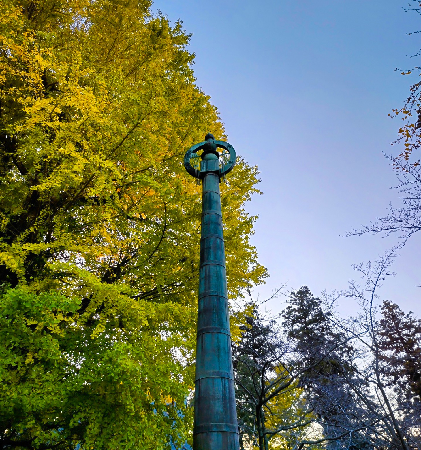 映えスポット,穴場,紅葉,黄葉,関東,関東最古の大イチョウ,西連寺,観光,お出掛け,散策,御朱印,おすすめ