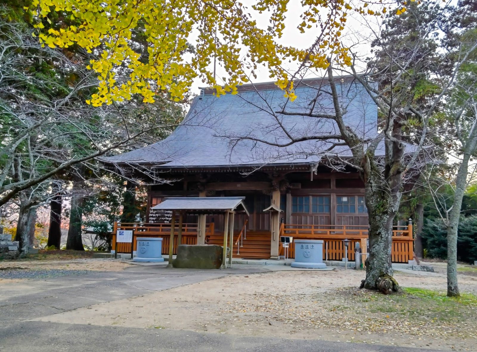 古刹,映えスポット,御朱印,茨城県,西連寺,関東最古,大イチョウ,日本でここだけ