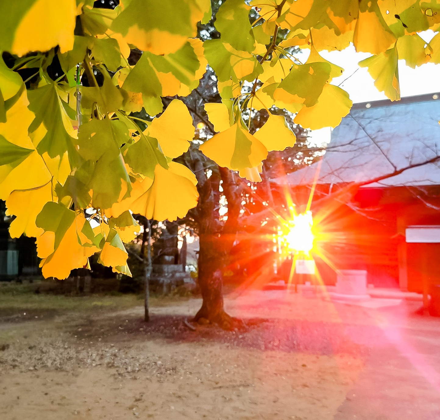 インスタ映え,映えスポット,おすすめ,穴場,発見,東京近郊,茨城県,千葉県,埼玉