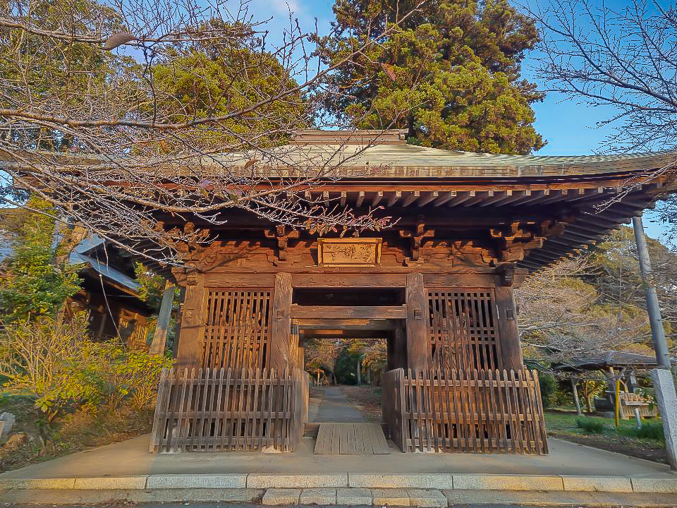 発見.穴場,おすすめ,黃葉スポット,きれいな紅葉,映える,西蓮寺の大イチョウ,関東近郊,東京,千葉県,茨城県,埼玉,栃木県