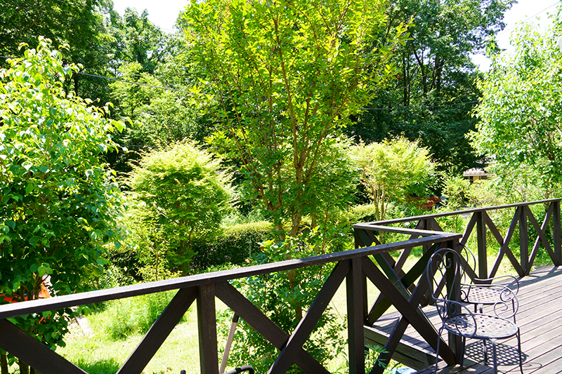 四季の移ろいを感じる、ウッドデッキとピザ窯のある庭