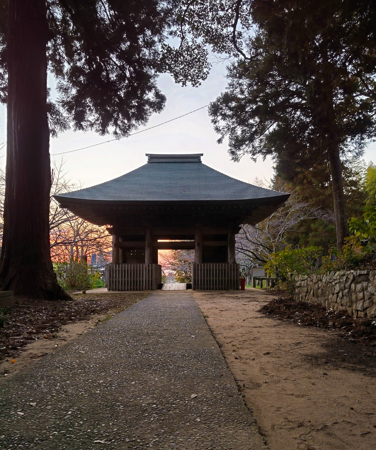 重要文化財,寺,仁王門,発見.穴場,おすすめ,黃葉スポット,きれいな紅葉,映える,西蓮寺の大イチョウ,関東近郊,東京,千葉県,茨城県,埼玉,栃木県
