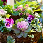 【那須高原】ガーデニングショップ「コピスガーデン」へ。冬の庭を彩るリースの寄せ植えを作ってみました。