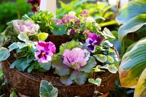 【那須高原】ガーデニングショップ「コピスガーデン」でお花探し。冬の庭を彩るリースの寄せ植えを作ってみました。