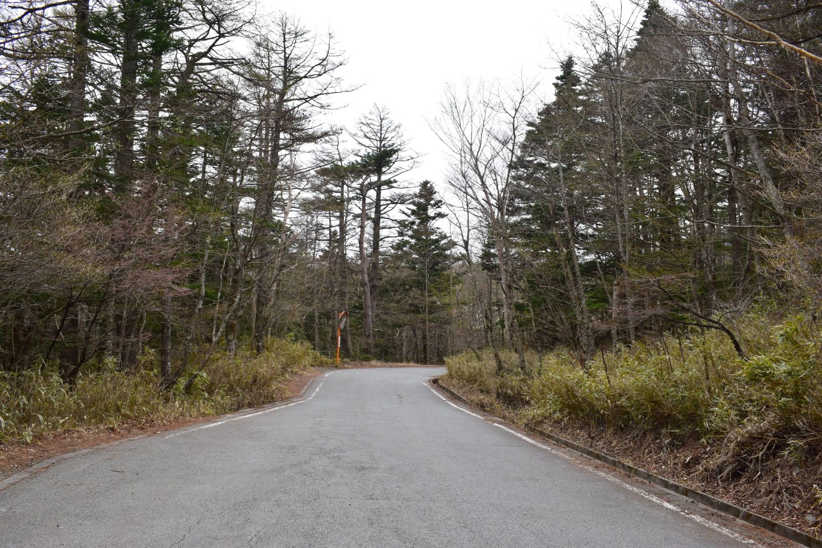 神玉巡拝新屋山神社