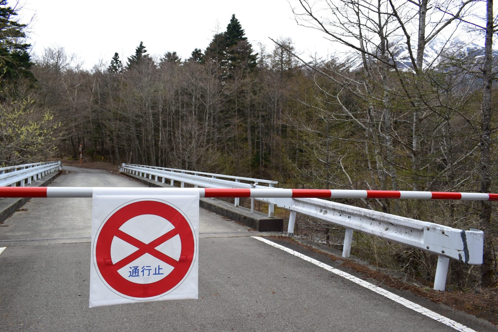 神玉巡拝新屋山神社