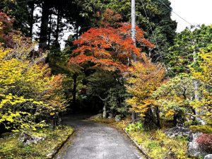 【神奈川県 足柄下郡 箱根町】箱根の静寂を独り占め　長安寺「五百羅漢」と紅葉