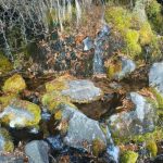 女の神氷水の流れ