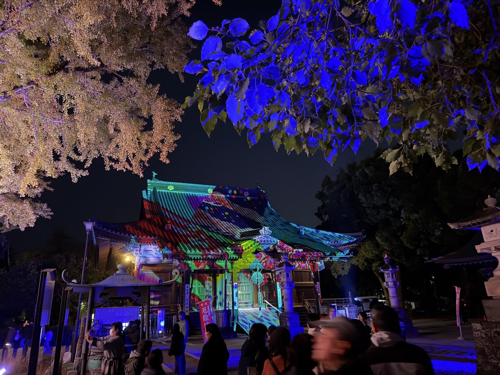 たくさんの人が集まる鑁阿寺