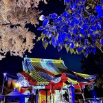 本堂を照らすプロジェクションマッピング