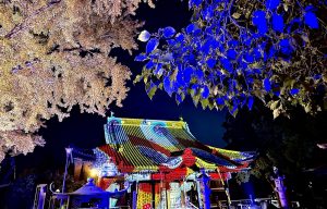 【栃木県】古都が輝くイルミネーション!「足利灯り物語」