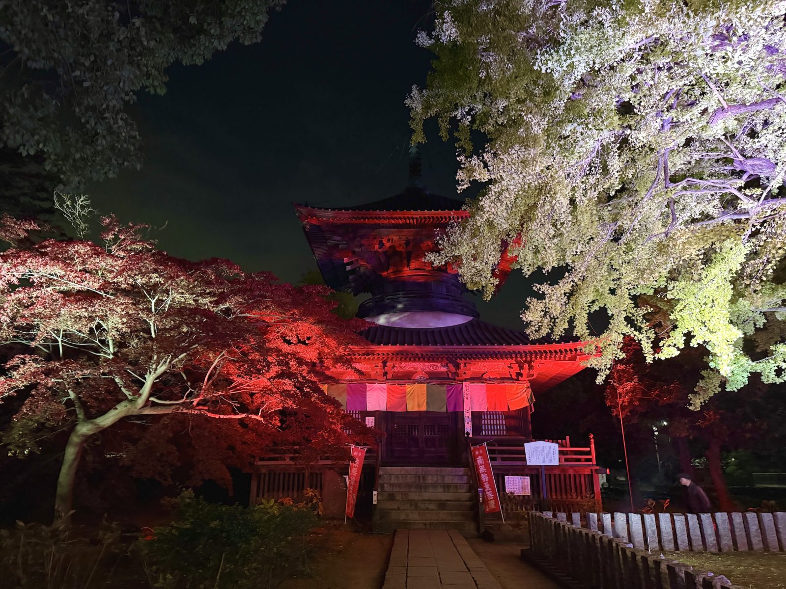 大イチョウと多宝庫