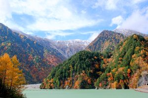 【秋の絶景】安曇野・大町「高瀬渓谷の紅葉ハイク」黄金色に染まる渓谷で深呼吸