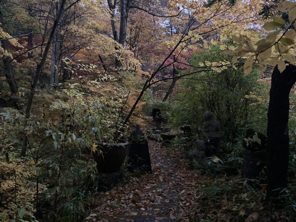 八ヶ岳冬の入口、八ヶ岳晩秋の森