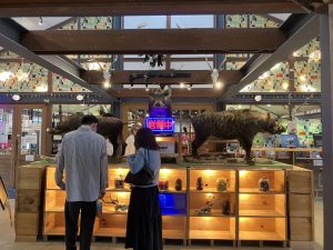 おしゃれな【 房総編 】ジビエのテーマパーク発見?