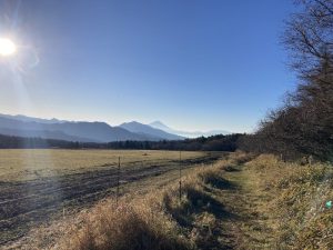 冬を迎える八ヶ岳、高原生活者たちの冬そして新たな試み清里の冬イベント