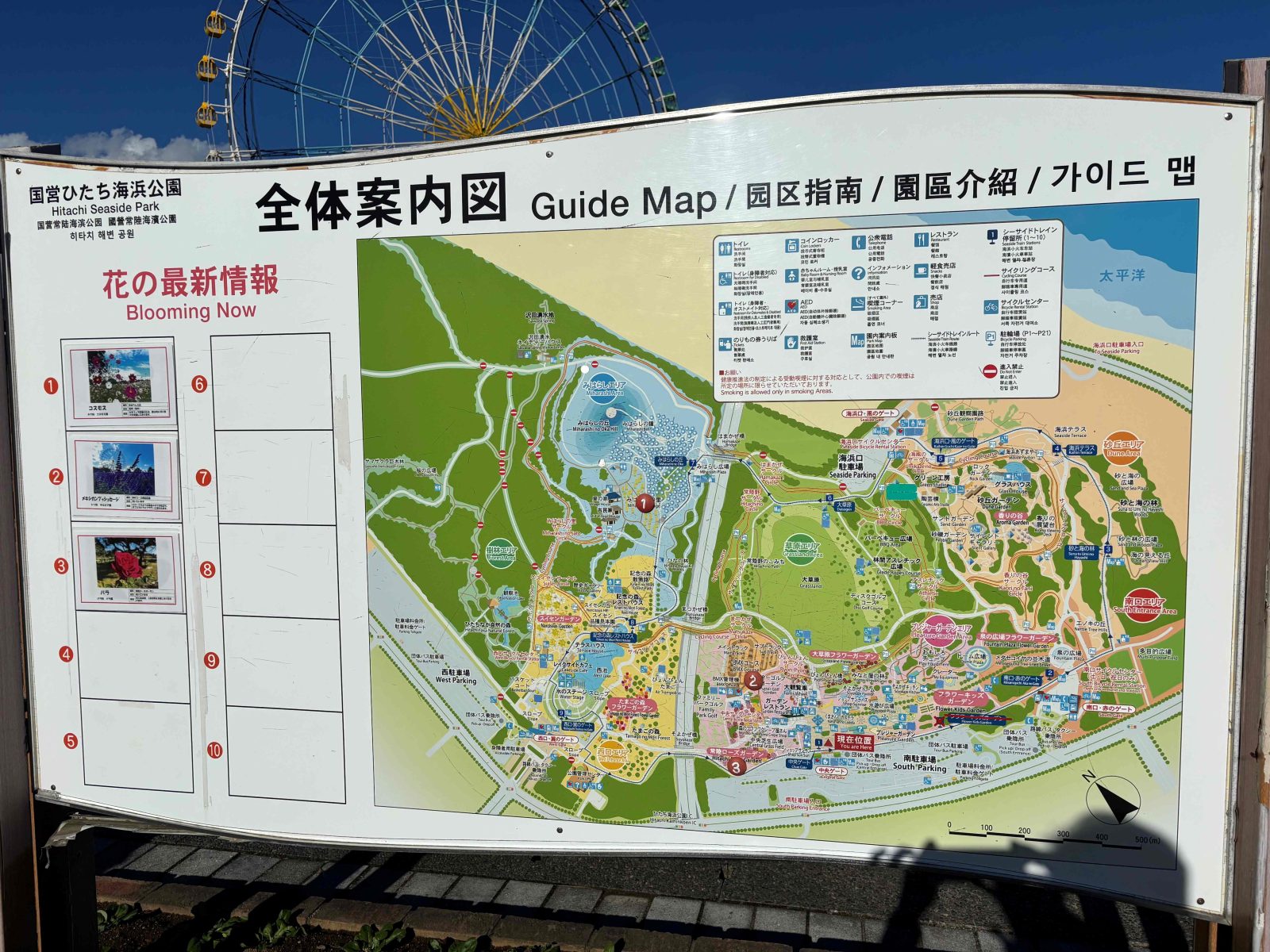 公園の全体図看板