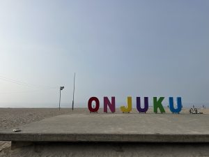 【千葉県夷隅郡御宿町】移住先、別荘探しで人気の御宿町って？