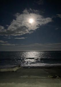 【南房総で田舎暮らし】じつは希少! 真っ暗な夜空に心おどらせて